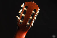 Giovanni Tacchi - 2023 Spruce / Flamed Maple