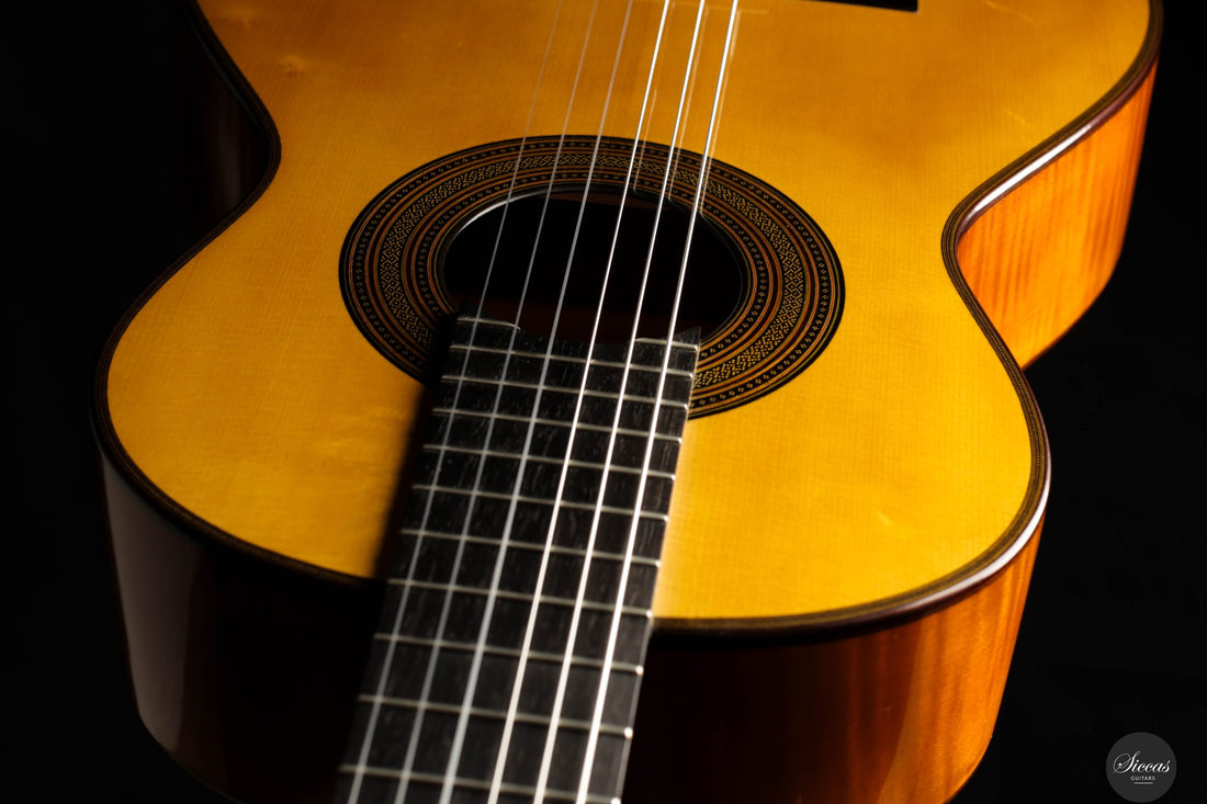 Giovanni Tacchi - 2023 Spruce / Flamed Maple
