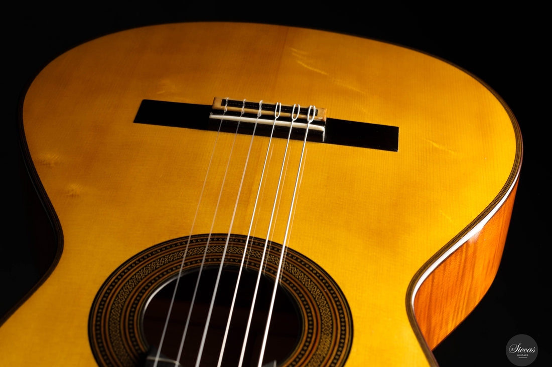 Giovanni Tacchi - 2023 Spruce / Flamed Maple