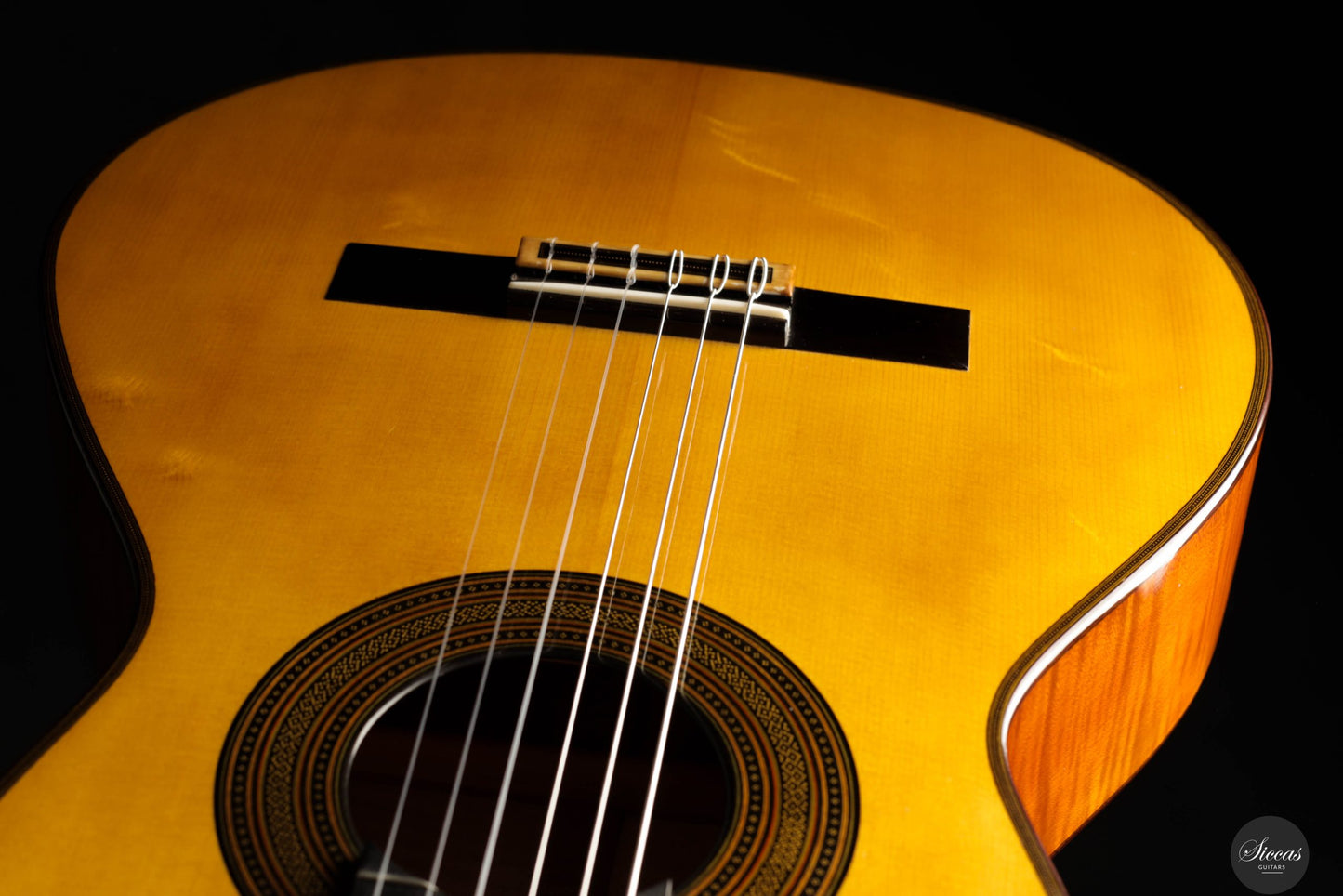 Giovanni Tacchi - 2023 Spruce / Flamed Maple