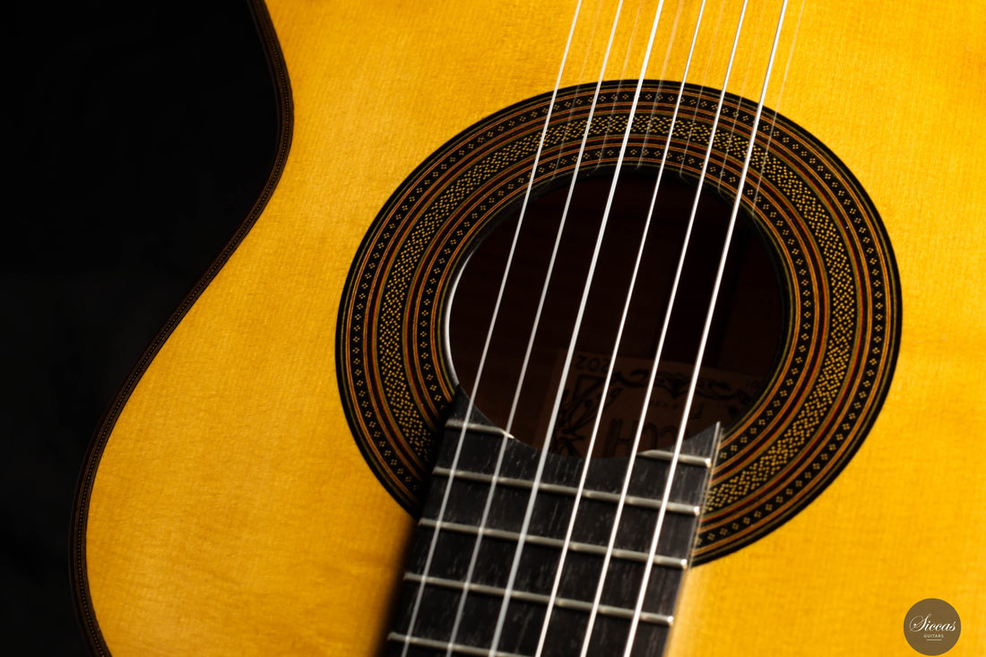 Giovanni Tacchi - 2023 Spruce / Flamed Maple
