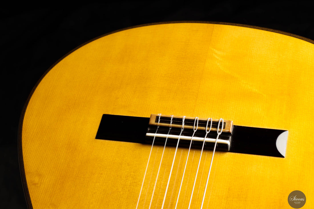 Giovanni Tacchi - 2023 Spruce / Flamed Maple
