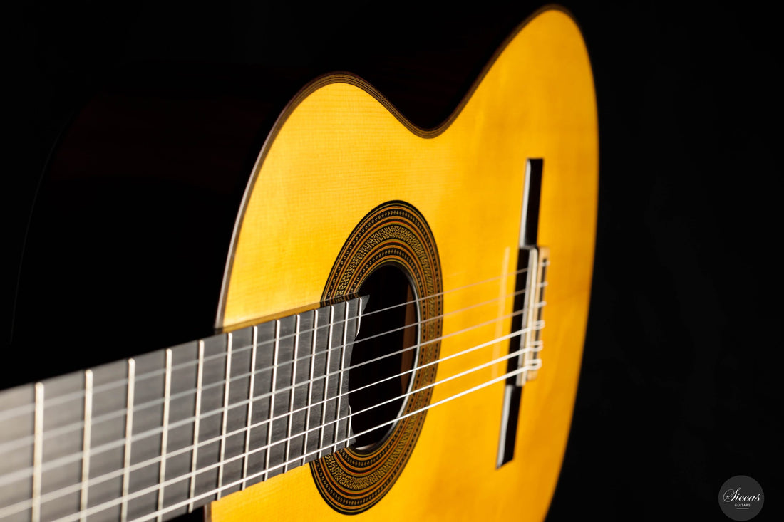 Giovanni Tacchi - 2023 Spruce / Flamed Maple
