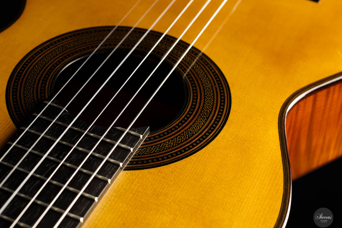Giovanni Tacchi - 2023 Spruce / Flamed Maple