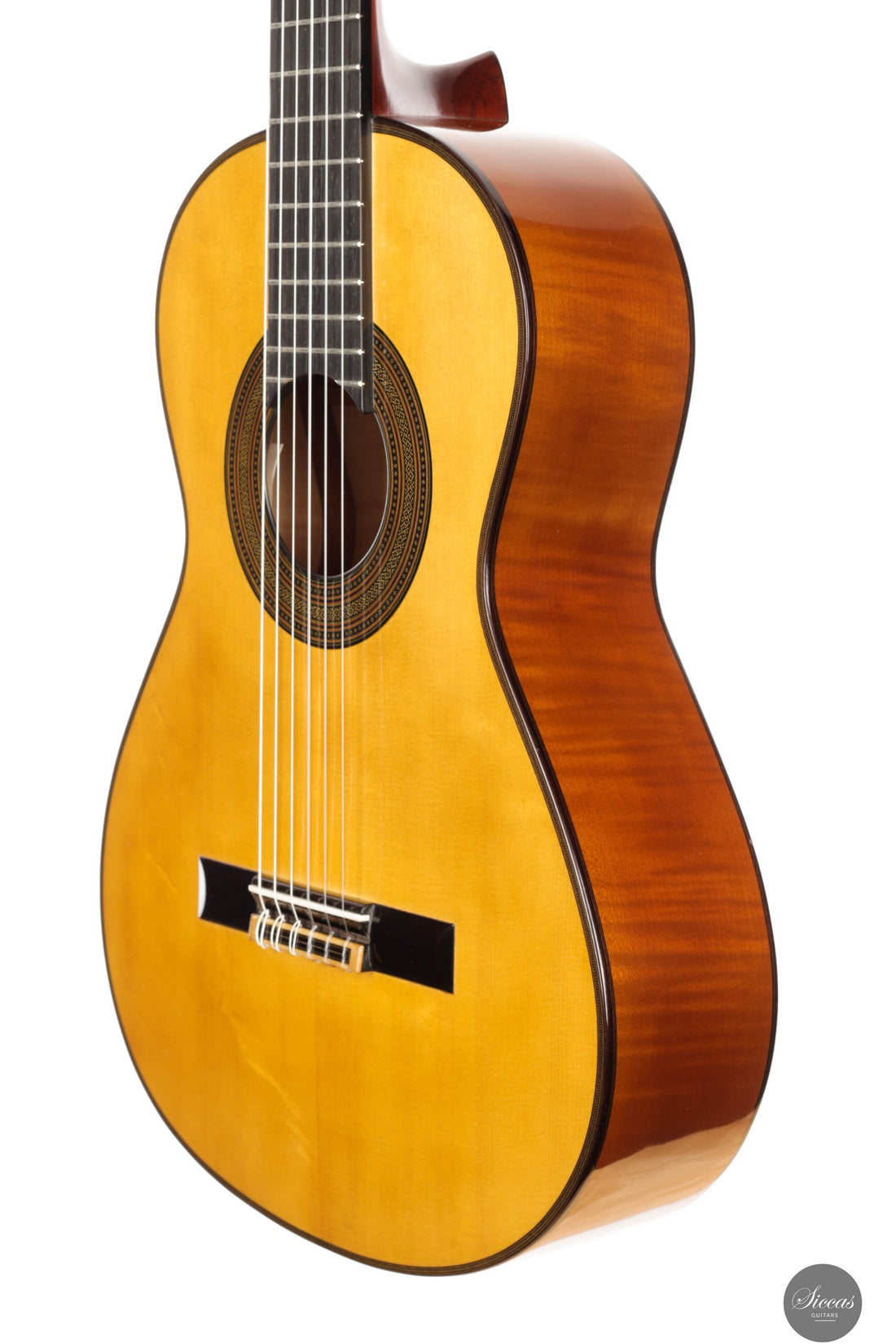 Giovanni Tacchi - 2023 Spruce / Flamed Maple