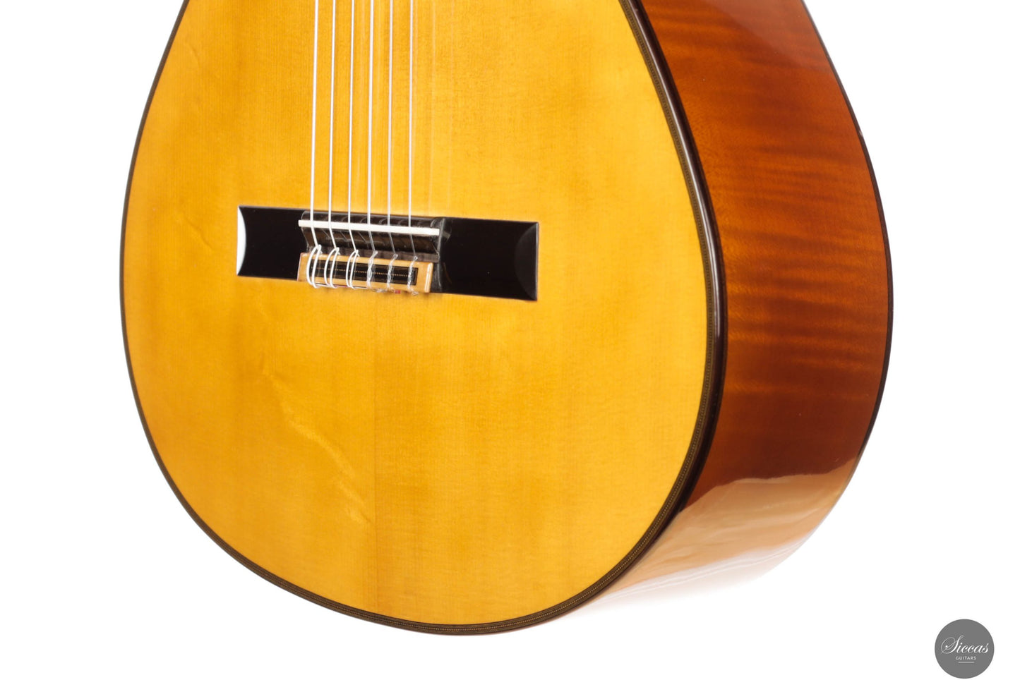 Giovanni Tacchi - 2023 Spruce / Flamed Maple