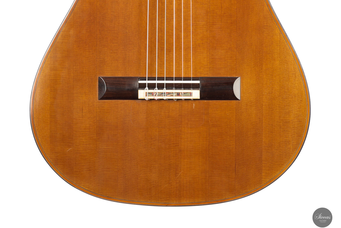 Giovanni Tacchi - 2024 "Daniel Friederich" No. 36