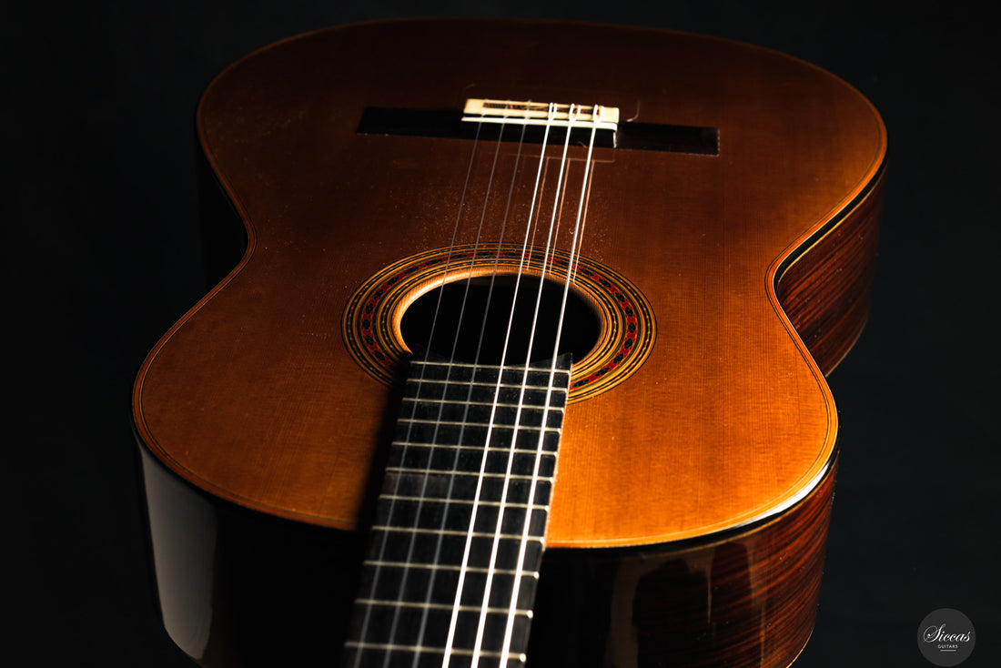 Giovanni Tacchi - 2024 "Daniel Friederich" No. 36