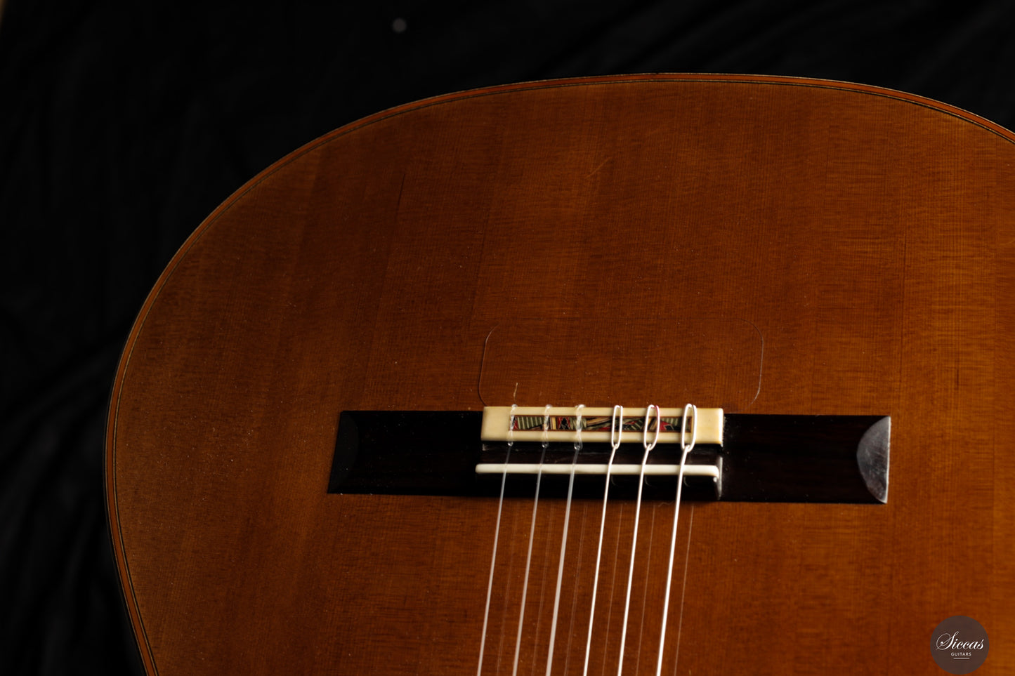 Giovanni Tacchi - 2024 "Daniel Friederich" No. 36