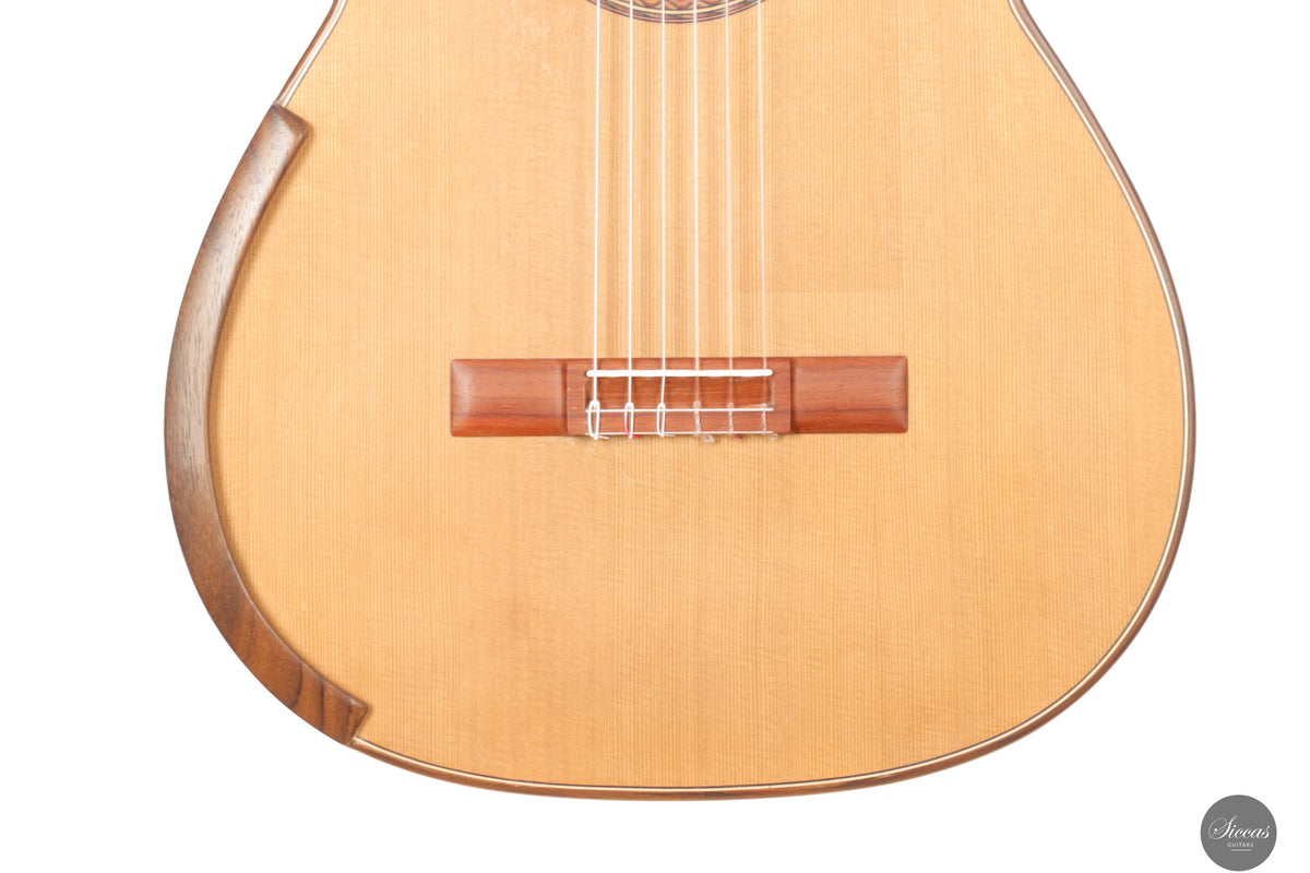 Greg Smallman & Sons Damon & Kym - 2009 – Siccas Guitars