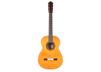 Guillermo Aguer - 2016