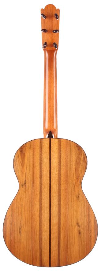 Guillermo Aguer - 2016