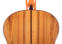 Guillermo Aguer - 2016