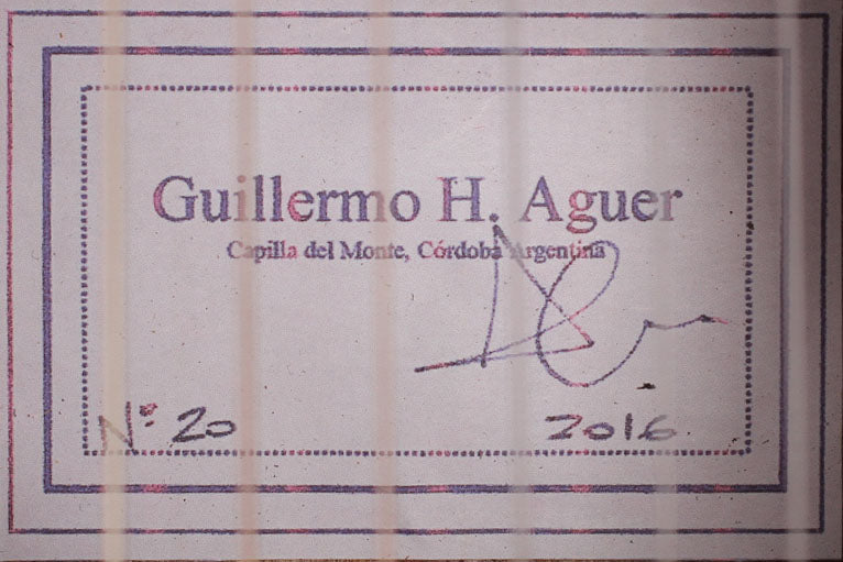 Guillermo Aguer - 2016