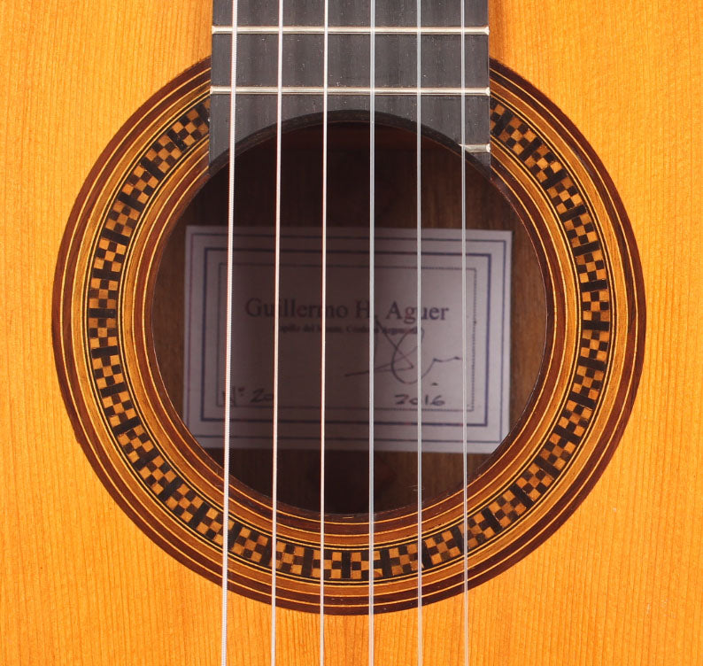 Guillermo Aguer - 2016