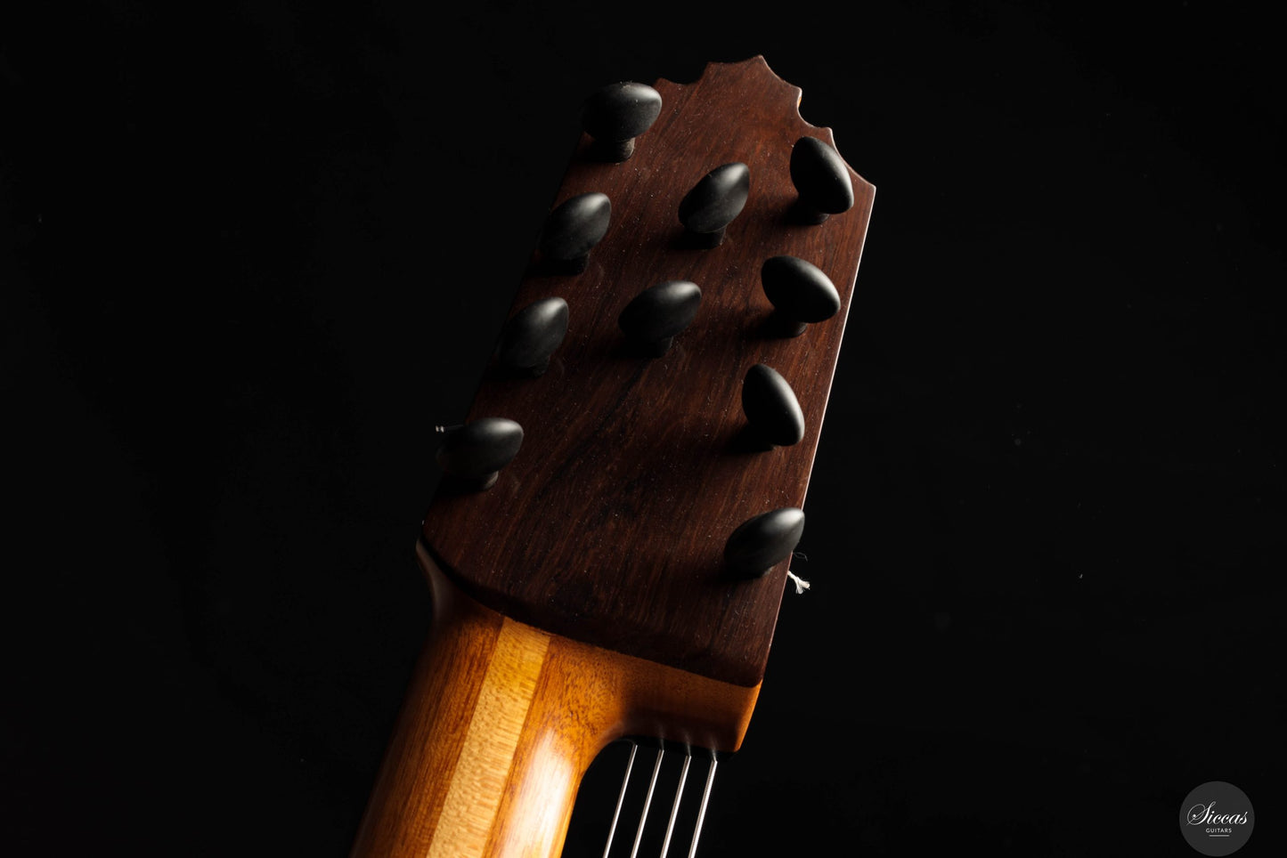 Heikki Rousu - 2025 10-string No. 477