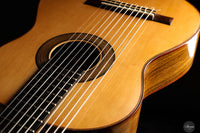Heikki Rousu - 2025 10-string No. 477