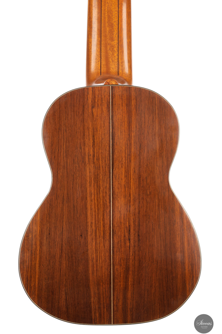 Heikki Rousu - 2025 No. 487 11-string