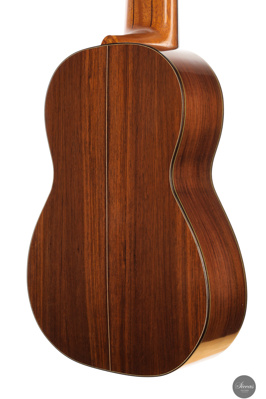 Heikki Rousu - 2025 No. 487 11-string