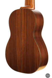 Heikki Rousu - 2025 No. 487 11-string