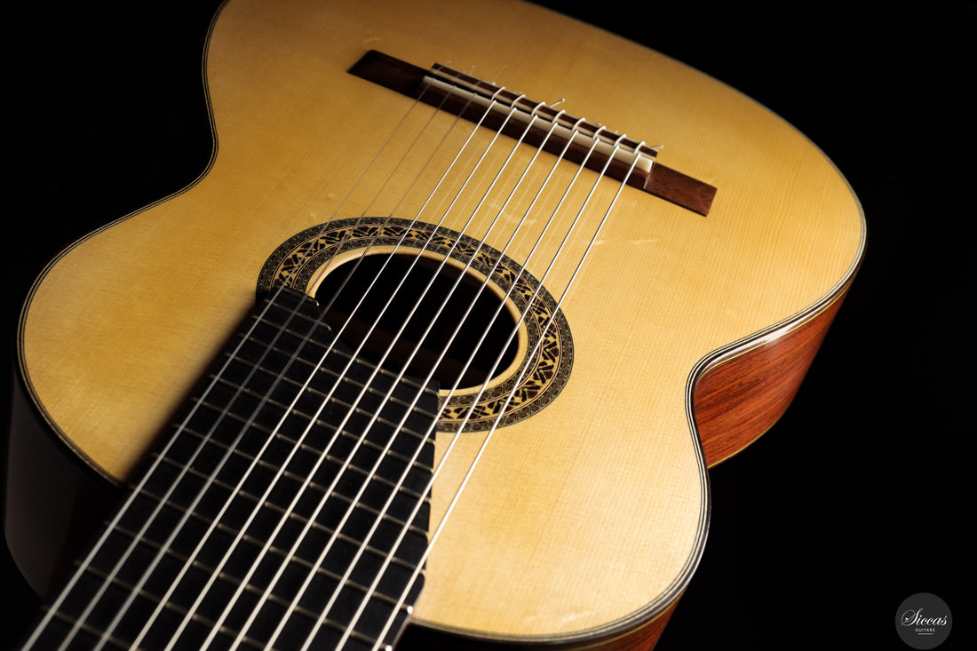 Heikki Rousu - 2025 No. 487 11-string