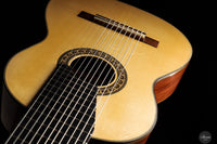 Heikki Rousu - 2025 No. 487 11-string