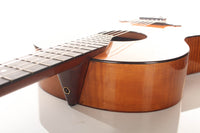 Hermann Hauser ® I - 1920