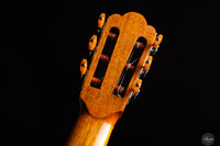 Hermann Hauser II - 1956 - No.577