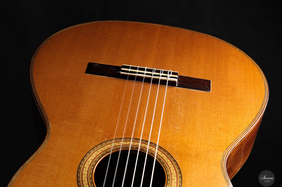 Hermann Hauser III - 1995 No. 379 "Fana - Pepe Romero Model"
