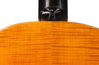 Hermann Hauser ® I - Viennese Model 1919