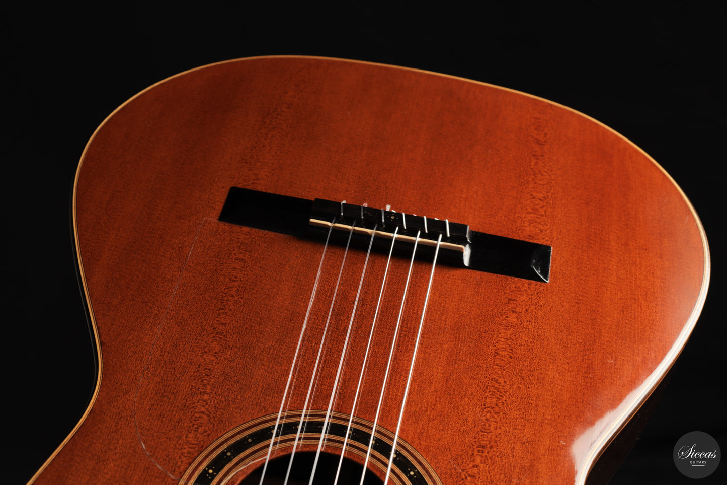 Jakob Lebisch - 2022 Doubletop "Abital"