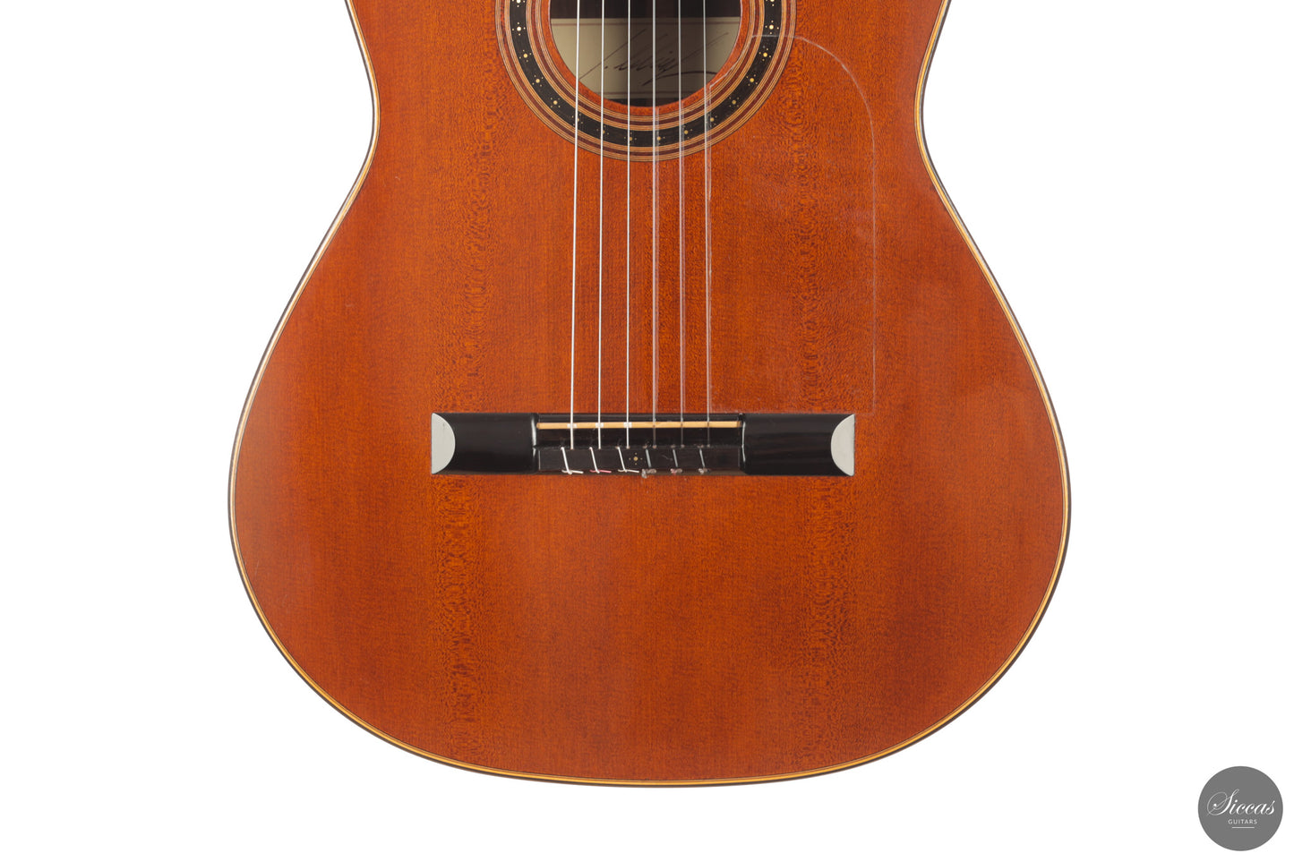 Jakob Lebisch - 2022 Doubletop "Abital"