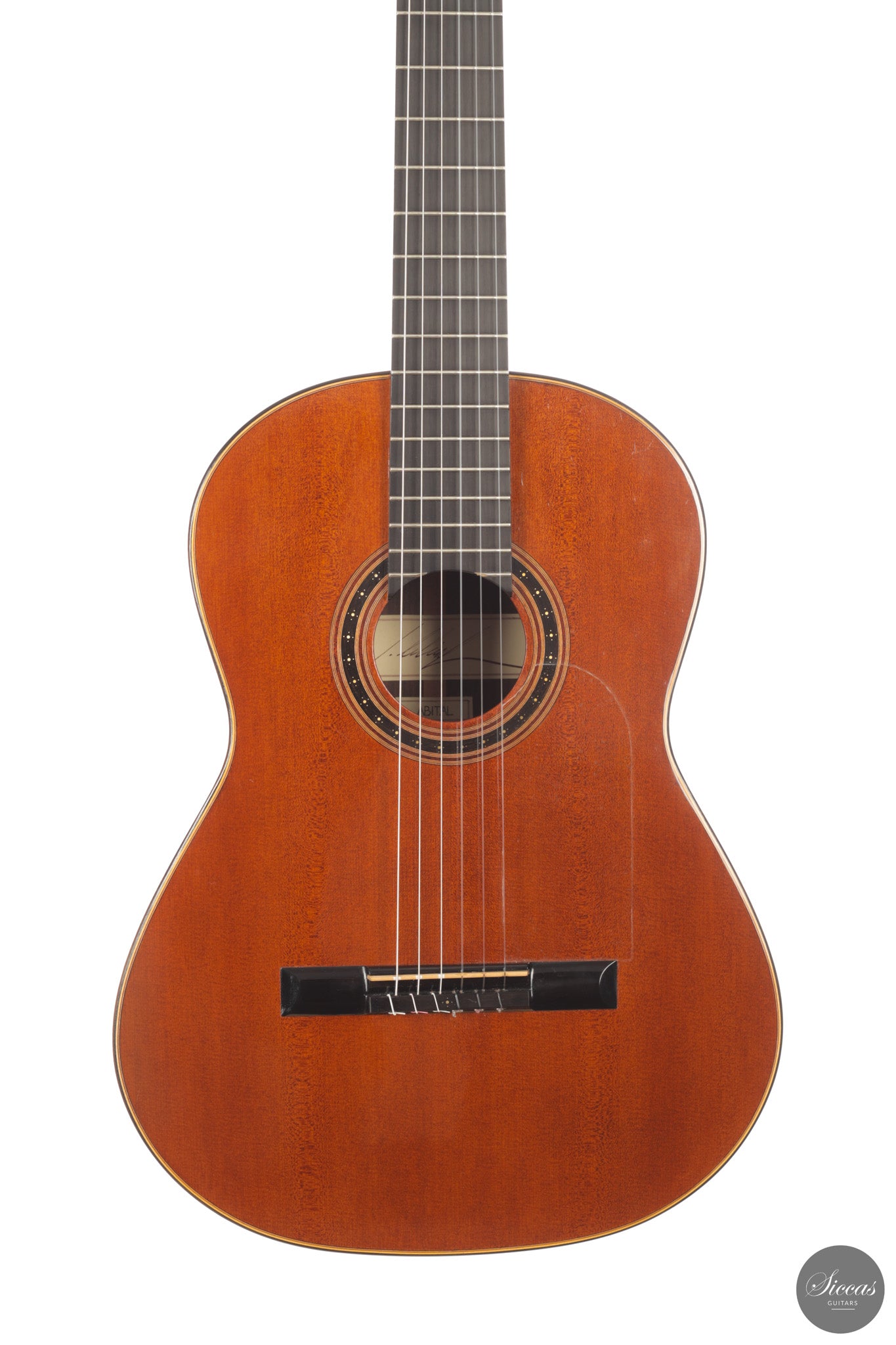 Jakob Lebisch - 2022 Doubletop "Abital"