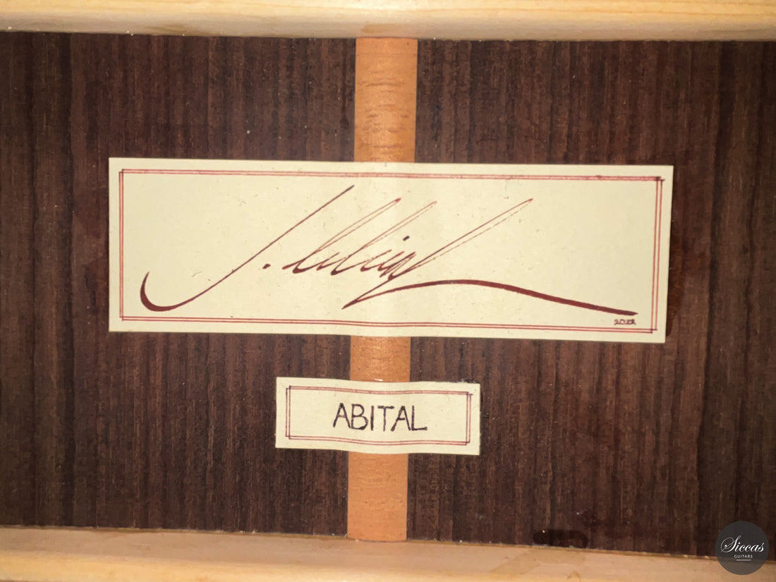 Jakob Lebisch - 2022 Doubletop "Abital"
