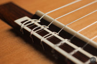 Jesus Bellido - 2026 Opus 133 Alma Aurea