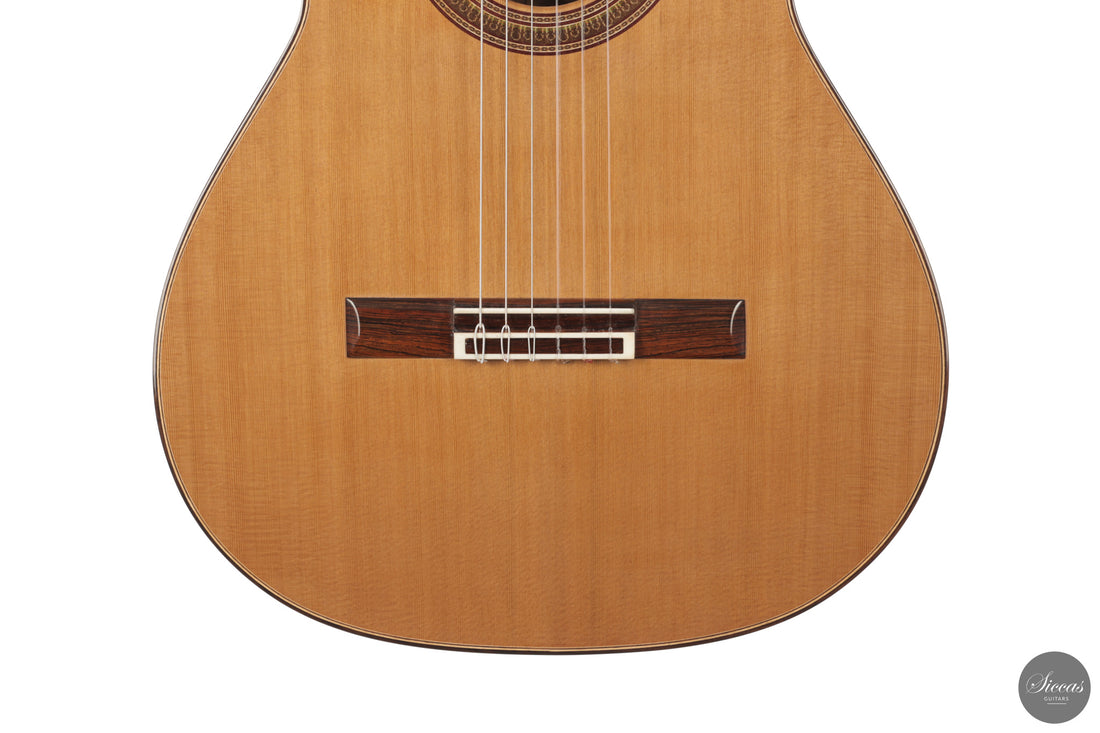 Jesus Bellido - 2026 Opus 133 Alma Aurea