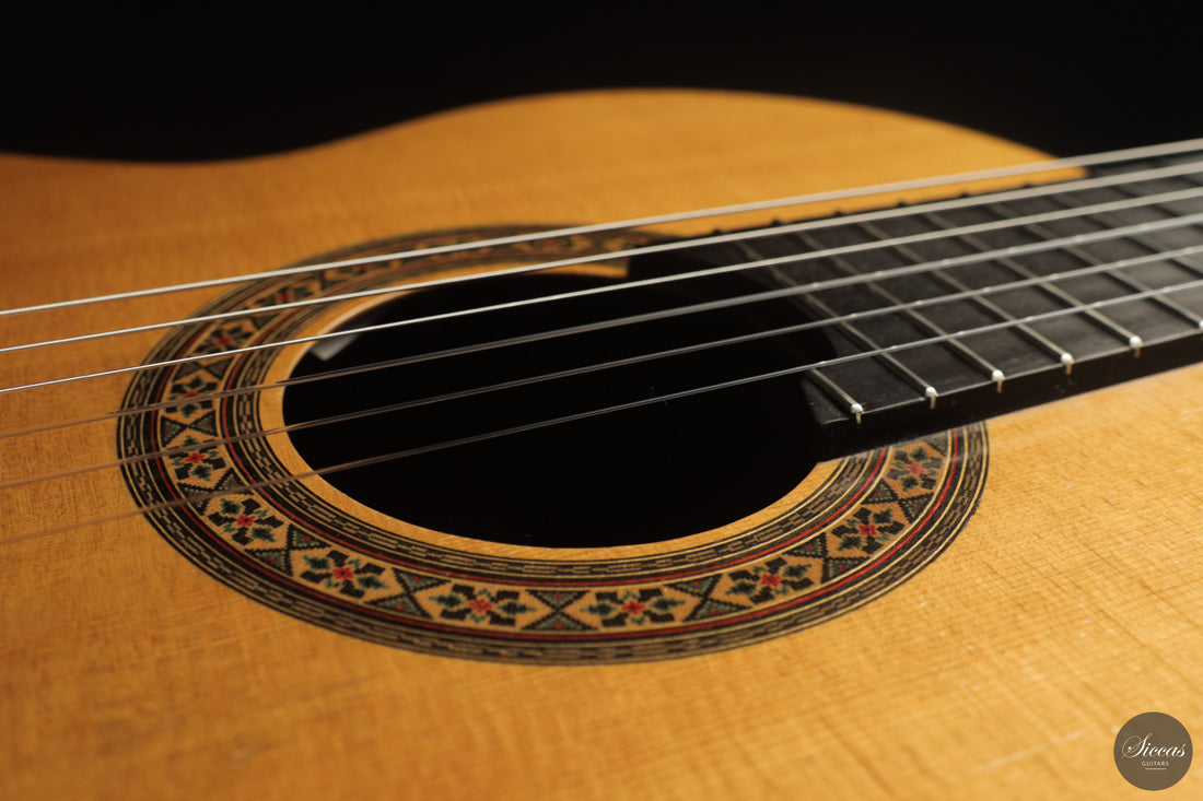 Joaquín García - 1992 Classical Guitar