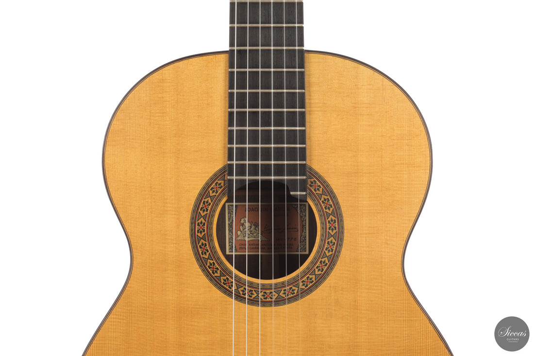 Joaquín García - 1992 Classical Guitar