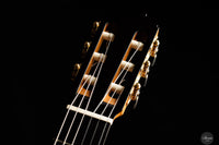 Jochen Röthel - 2025 - Cedar/Madagascar