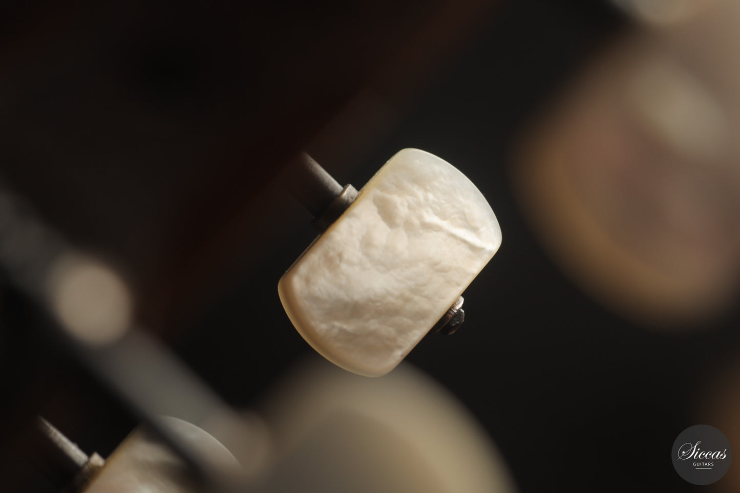 José Luis Romanillos - 1984 La Violeta