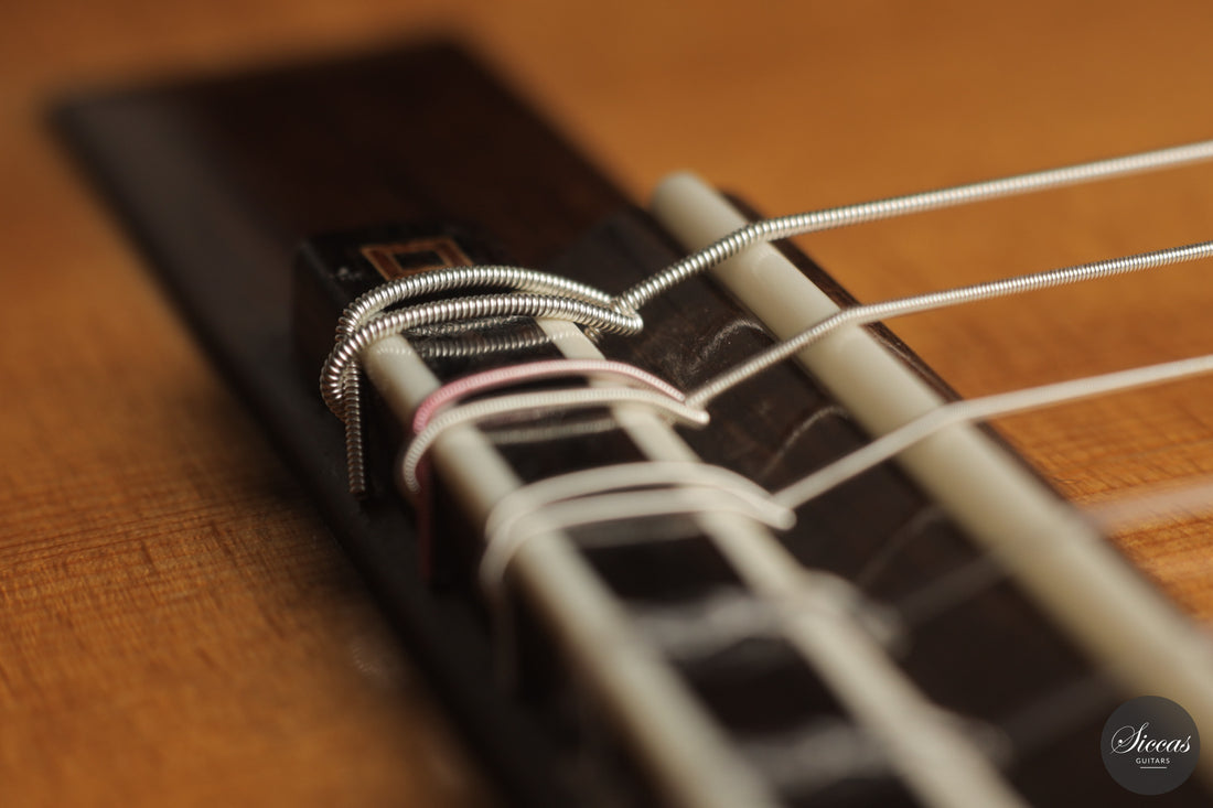 José Luis Romanillos - 1984 La Violeta