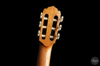 José Luis Romanillos - 1984 La Violeta