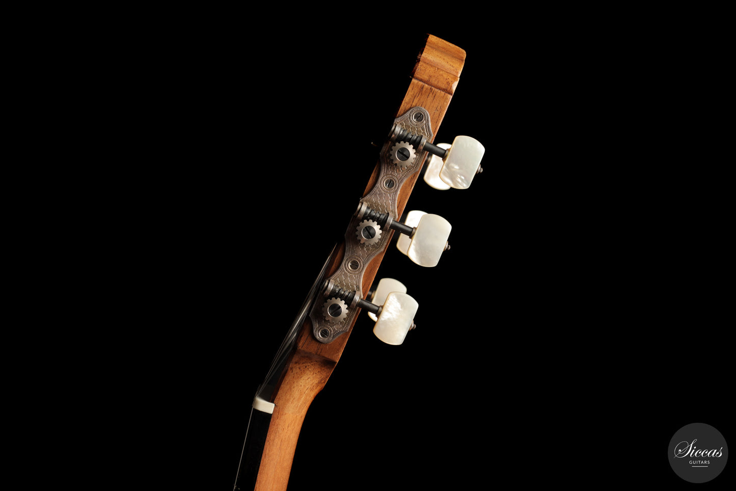 José Luis Romanillos - 1984 La Violeta