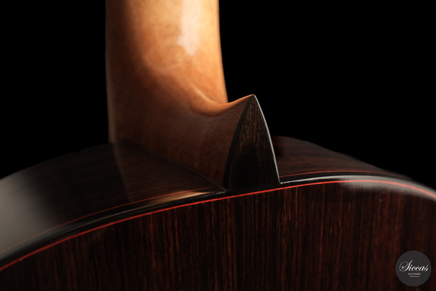 Jose Marques - 2026 Doubletop 64 cm