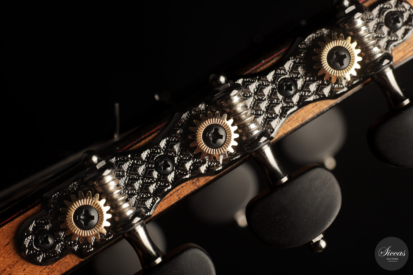 Jose Marques - 2026 Doubletop 64 cm