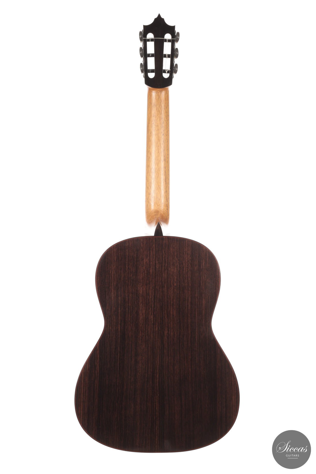 Jose Marques - 2026 Doubletop 64 cm