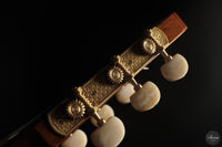 José Salinas - 2026 Cedar 64 cm