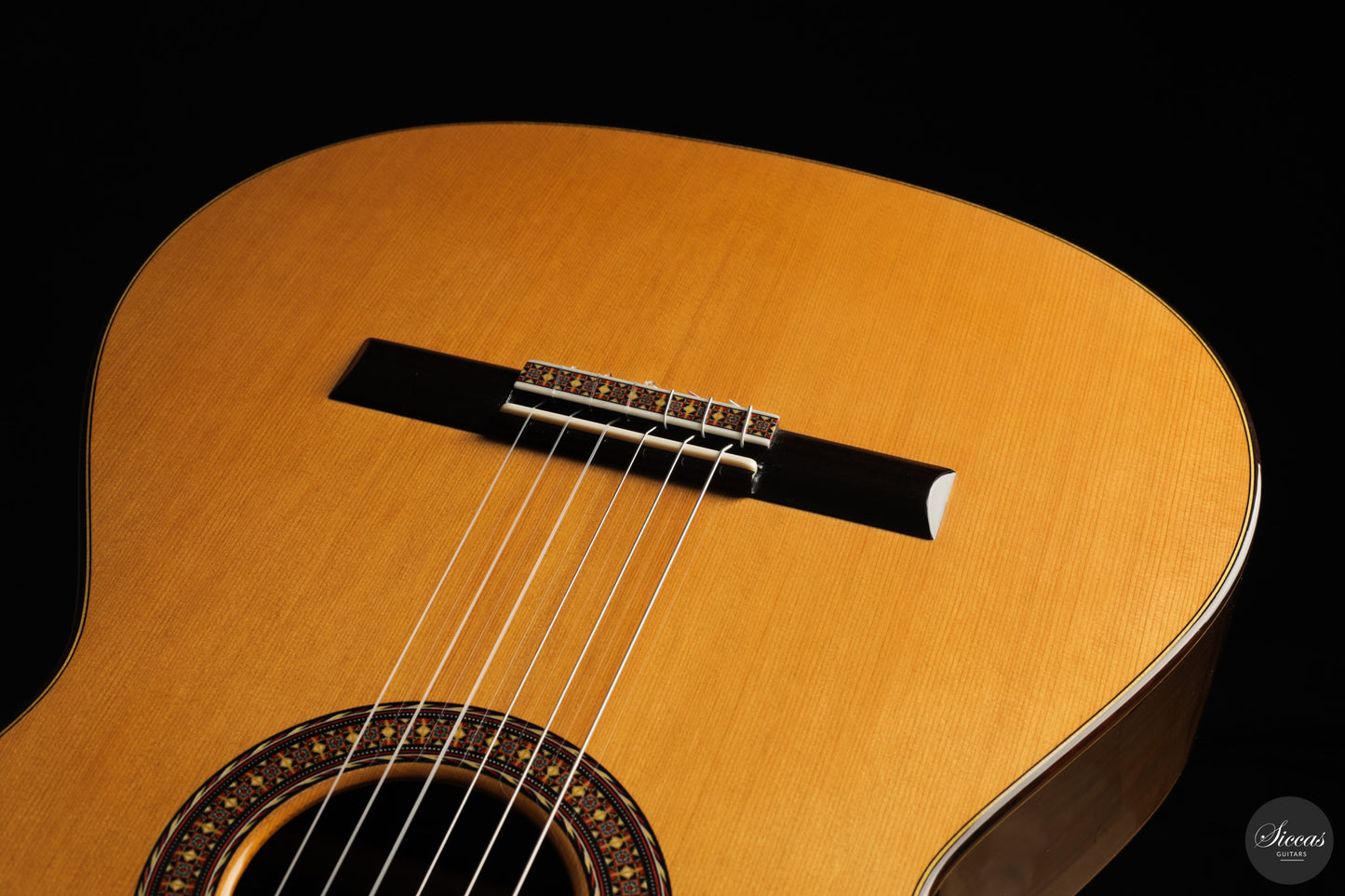 José Salinas - 2026 Cedar 64 cm