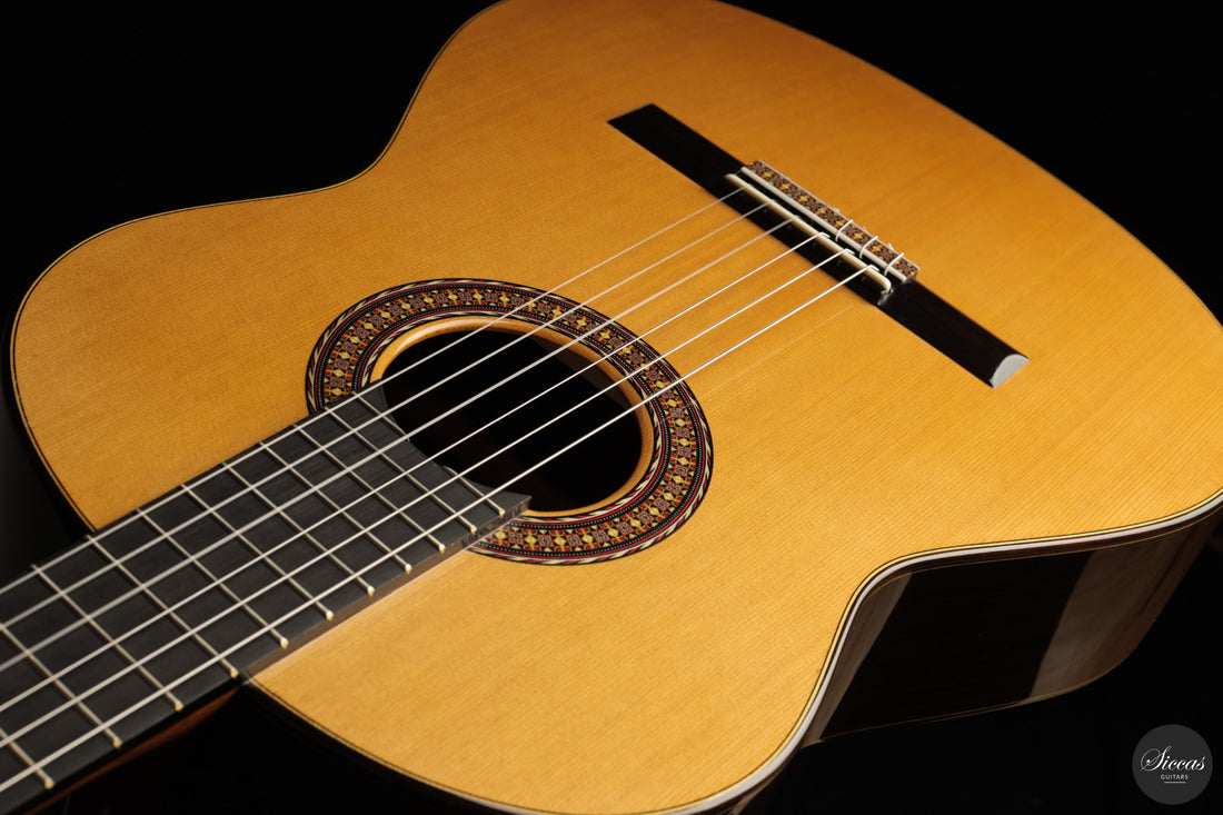 José Salinas - 2026 Cedar 64 cm