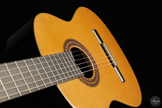 José Salinas - 2026 Cedar 64 cm img-2